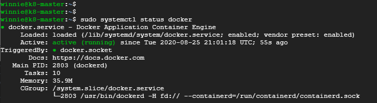 verify-docker-status