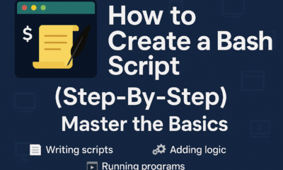 How to Create a Bash Script (Step-By-Step)