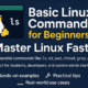 Basic Linux Commands for Beginners