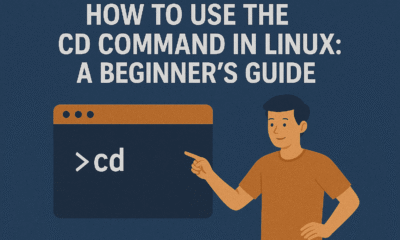 How to Use the Cd Command in Linux