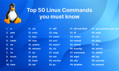 Top 20 Most Used Linux Terminal Commands