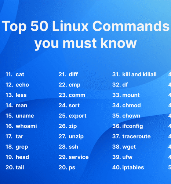 Top 20 Most Used Linux Terminal Commands