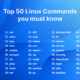 Top 20 Most Used Linux Terminal Commands
