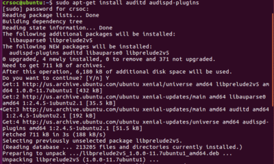 Using Auditd to Monitor File Access in Linux